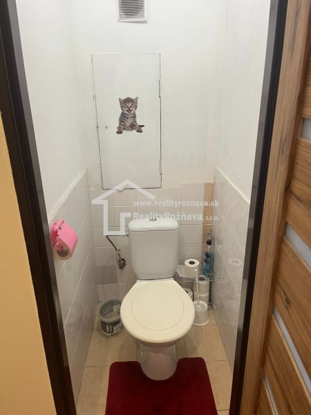 image7 (4).jpeg
